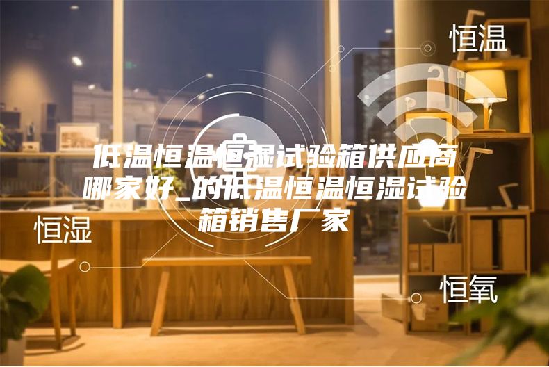 低温恒温恒湿试验箱供应商哪家好_的低温恒温恒湿试验箱销售厂家