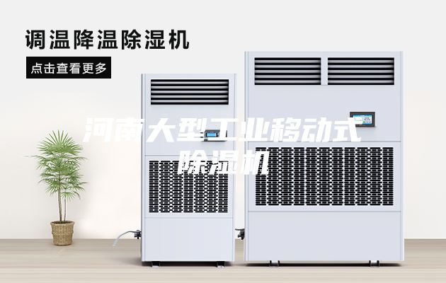 河南大型工业移动式除湿机
