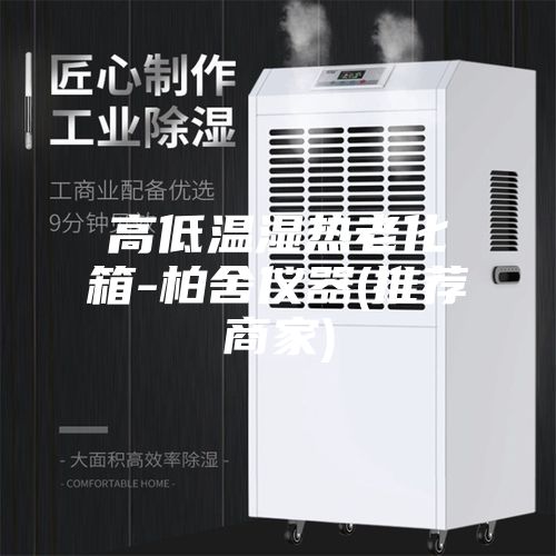 高低温湿热老化箱-柏舍仪器(推荐商家)