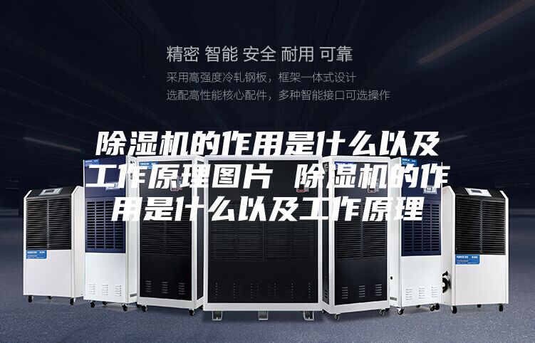 除湿机的作用是什么以及工作原理图片 除湿机的作用是什么以及工作原理