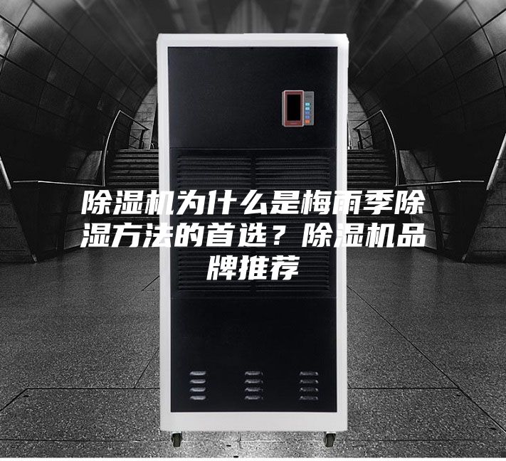 除湿机为什么是梅雨季除湿方法的首选？除湿机品牌推荐