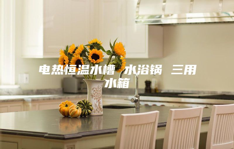 电热恒温水槽 水浴锅 三用水箱