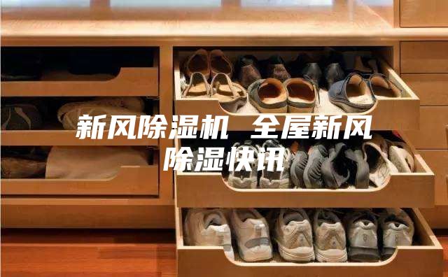 新风除湿机 全屋新风除湿快讯