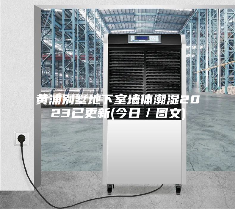 黄浦别墅地下室墙体潮湿2023已更新(今日／图文)