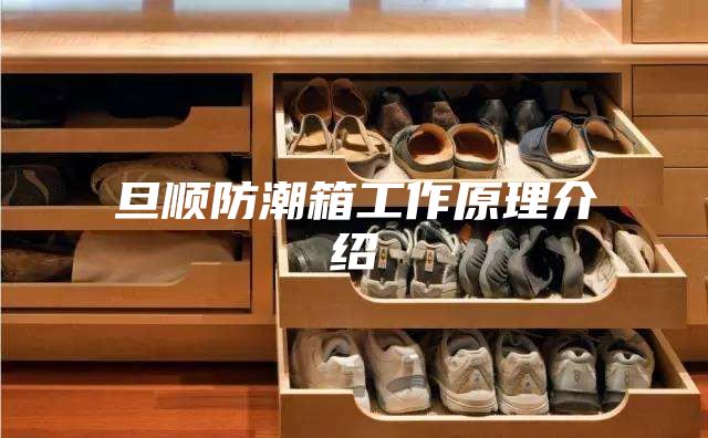 旦顺防潮箱工作原理介绍