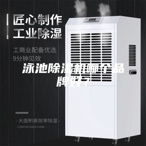 泳池除湿机哪个品牌好？