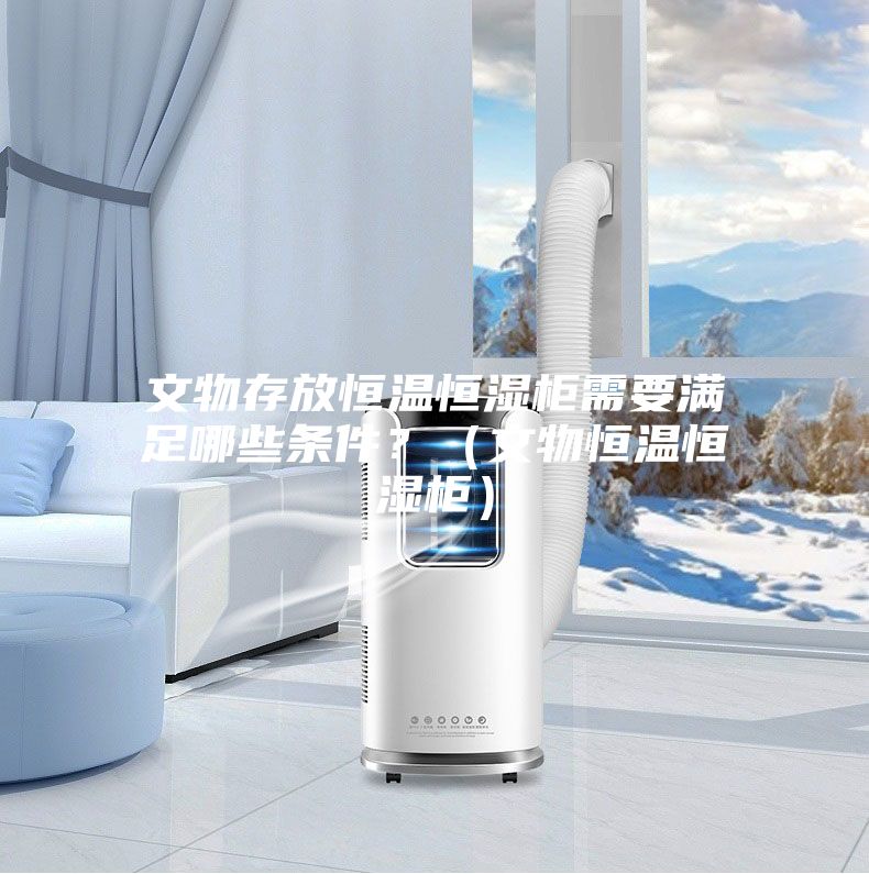 文物存放恒温恒湿柜需要满足哪些条件?(文物恒温恒湿柜)