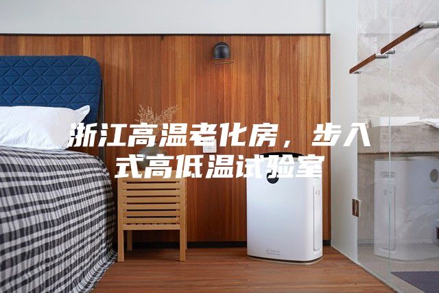 浙江高温老化房，步入式高低温试验室