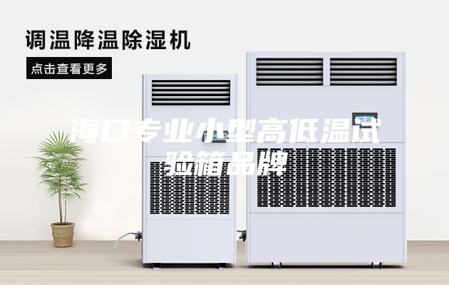 海口专业小型高低温试验箱品牌