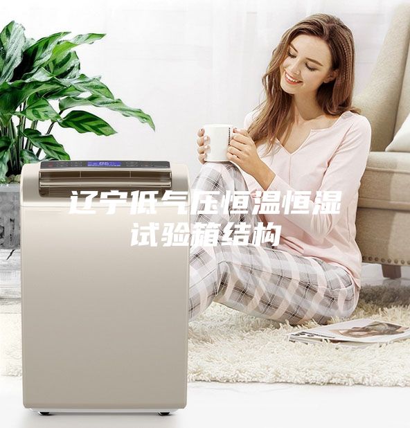 辽宁低气压恒温恒湿试验箱结构