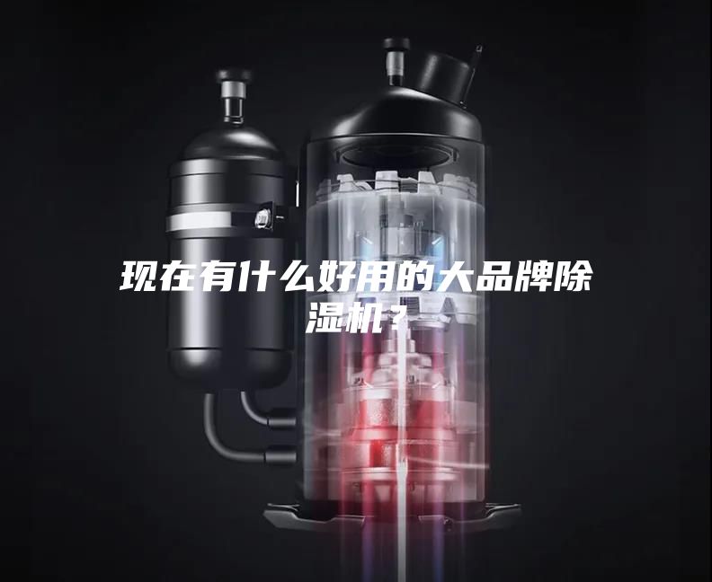 现在有什么好用的大品牌除湿机？