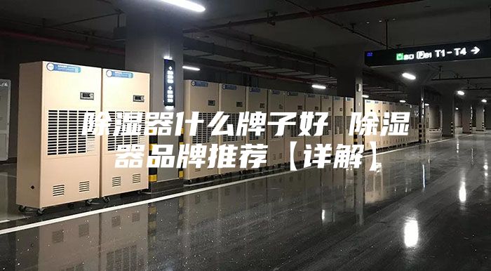 除湿器什么牌子好 除湿器品牌推荐【详解】