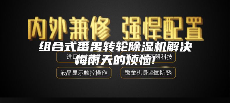 组合式番禺转轮除湿机解决梅雨天的烦恼!
