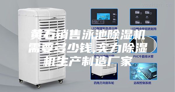 黄石销售泳池除湿机需要多少钱,实力除湿机生产制造厂家
