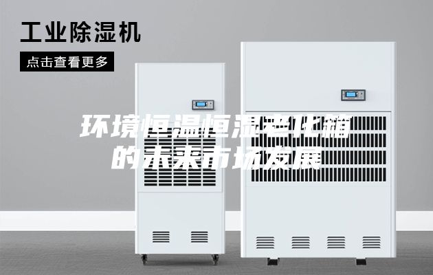 环境恒温恒湿老化箱的未来市场发展