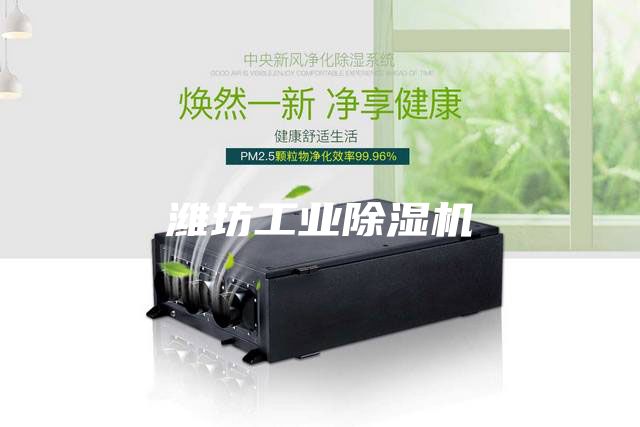 潍坊工业除湿机