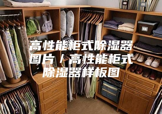 高性能柜式除湿器图片／高性能柜式除湿器样板图