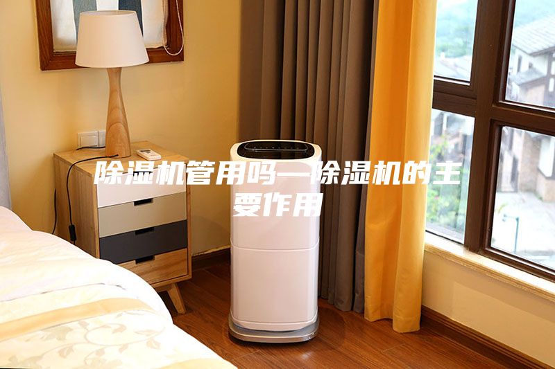 除湿机管用吗—除湿机的主要作用