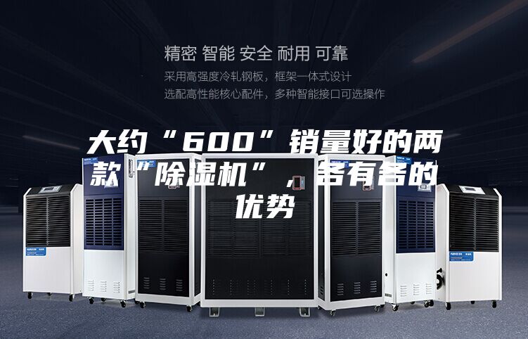 大约“600”销量好的两款“除湿机”，各有各的优势