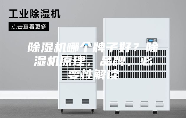 除湿机哪个牌子好？除湿机原理，品牌，必要性解读