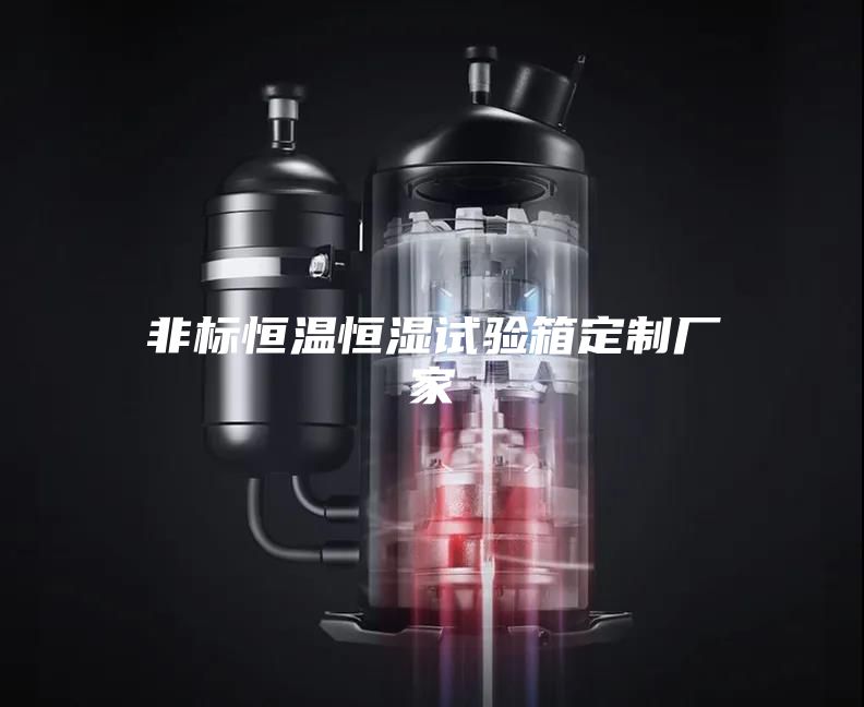 非标恒温恒湿试验箱定制厂家