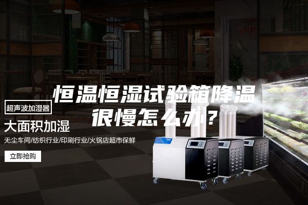 恒温恒湿试验箱降温很慢怎么办？