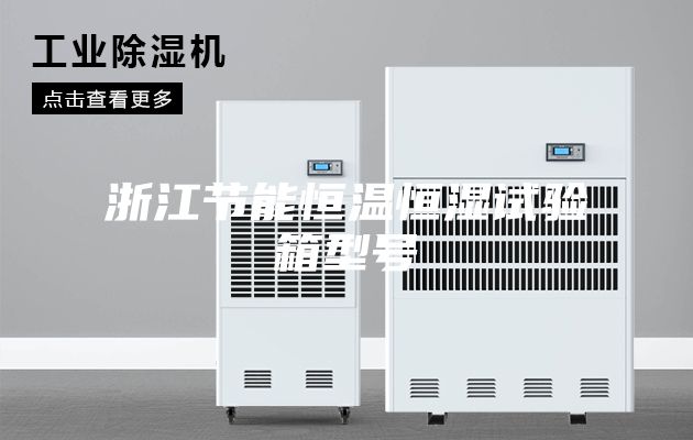 浙江节能恒温恒湿试验箱型号