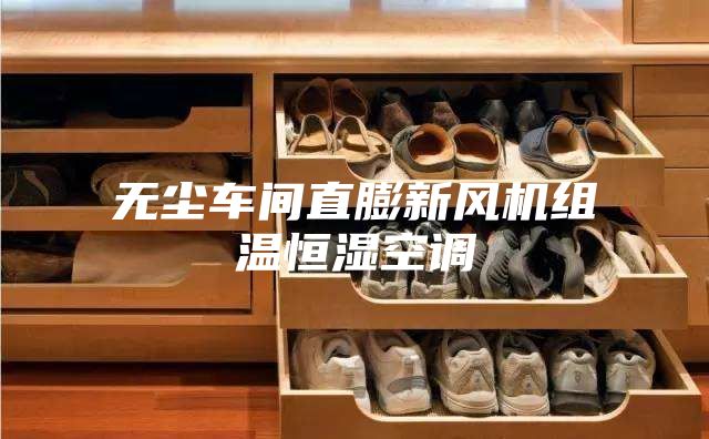 无尘车间直膨新风机组温恒湿空调
