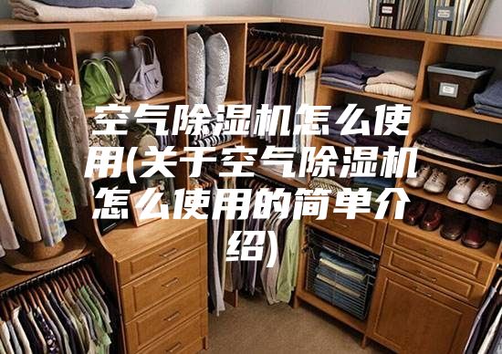 空气除湿机怎么使用(关于空气除湿机怎么使用的简单介绍)