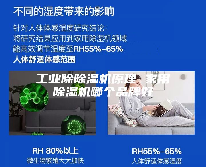 工业除除湿机原理 家用除湿机哪个品牌好