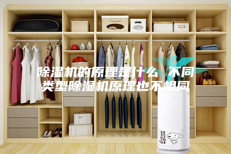 除湿机的原理是什么 不同类型除湿机原理也不相同