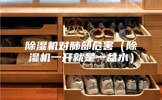 除湿机对肺部危害（除湿机一开就是一盆水）