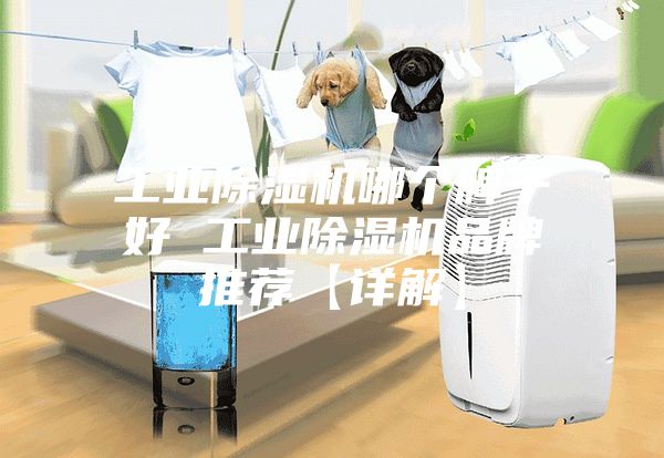 工业除湿机哪个牌子好 工业除湿机品牌推荐【详解】