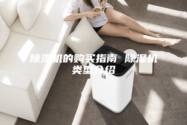 除湿机的购买指南 除湿机类型介绍