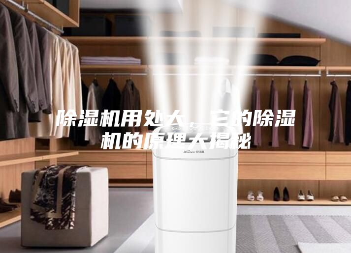 除湿机用处大，它的除湿机的原理大揭秘