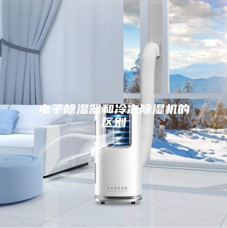 电子除湿器和冷冻除湿机的区别