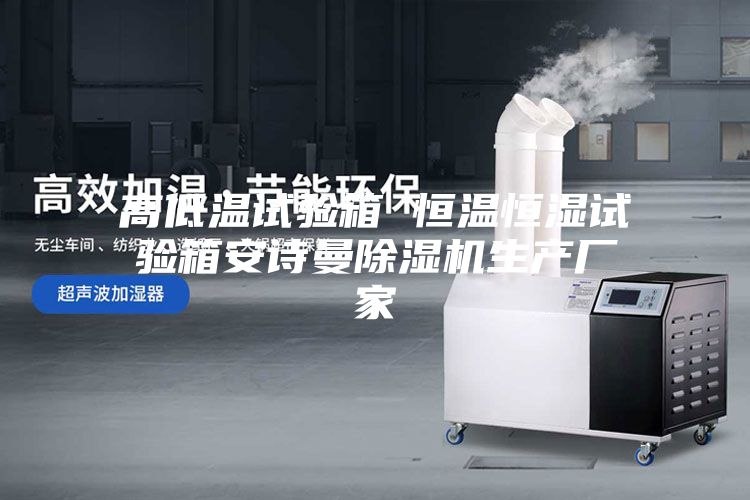 高低温试验箱 恒温恒湿试验箱安诗曼除湿机生产厂家