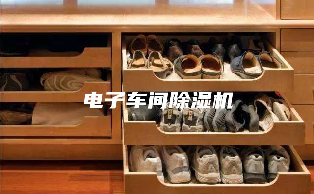 电子车间除湿机