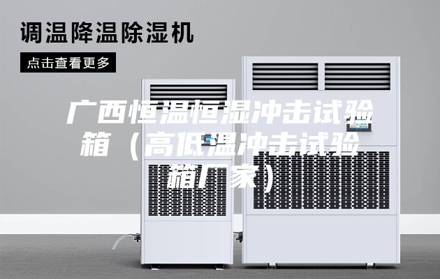 广西恒温恒湿冲击试验箱（高低温冲击试验箱厂家）
