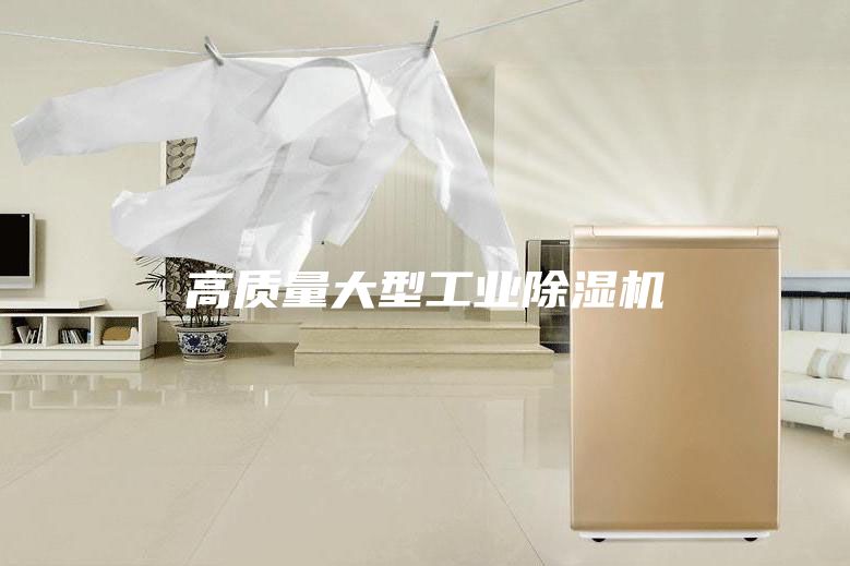 高质量大型工业除湿机