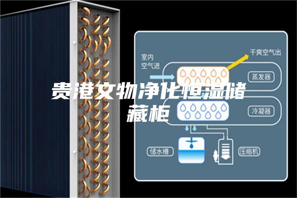 贵港文物净化恒湿储藏柜