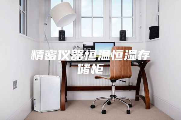 精密仪器恒温恒湿存储柜