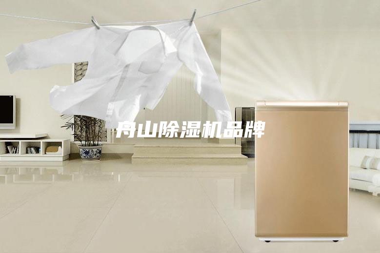舟山除湿机品牌