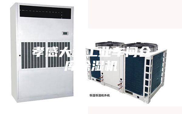 孝感大型工业车间仓库除湿机
