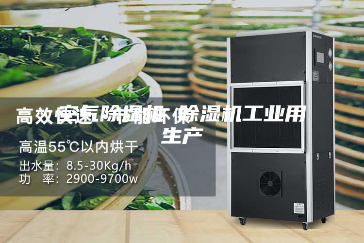 空气除湿机 除湿机工业用生产