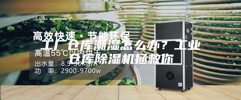 工厂仓库潮湿怎么办？工业仓库除湿机拯救你