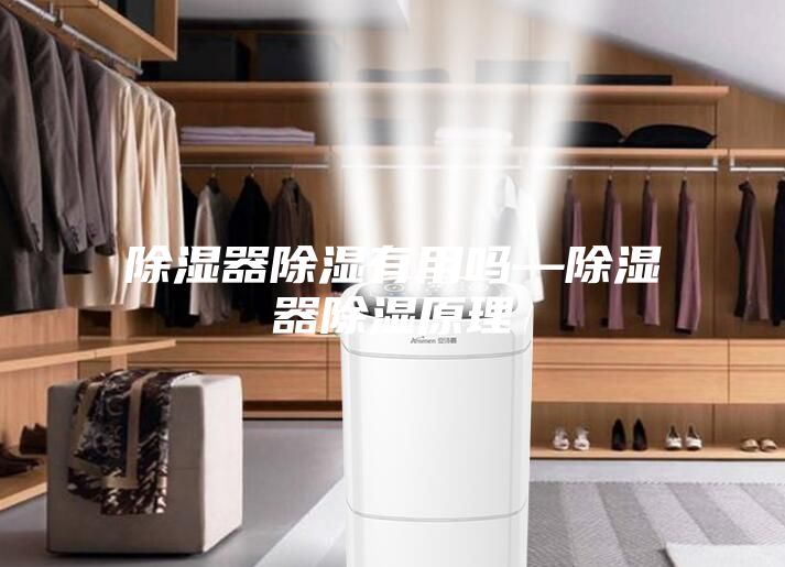 除湿器除湿有用吗—除湿器除湿原理