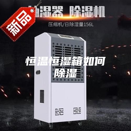 恒温恒湿箱如何除湿