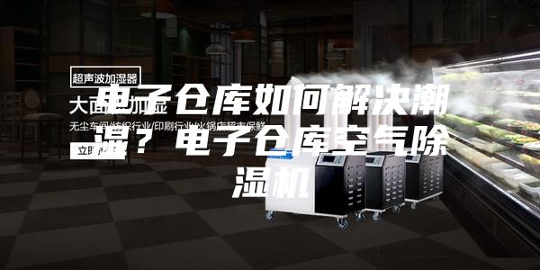 电子仓库如何解决潮湿？电子仓库空气除湿机