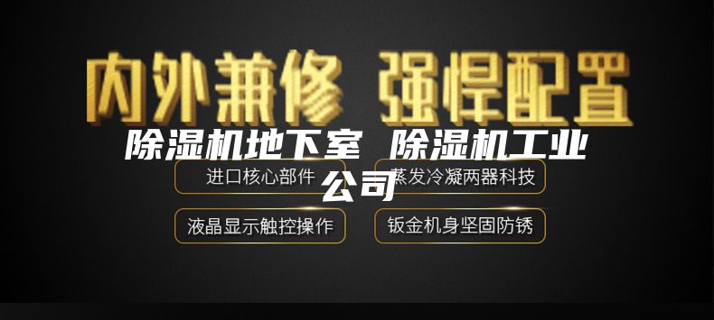除湿机地下室 除湿机工业公司